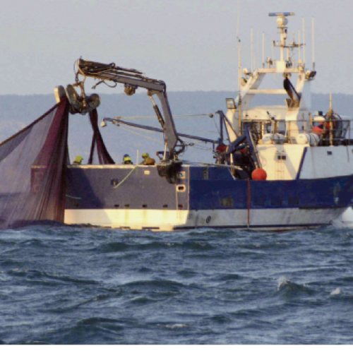 Capture-d’écran-2020-05-08-à-00.14.28